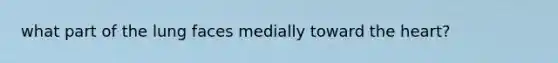 what part of the lung faces medially toward the heart?