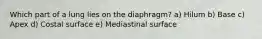 Which part of a lung lies on the diaphragm? a) Hilum b) Base c) Apex d) Costal surface e) Mediastinal surface