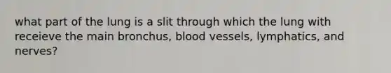 what part of the lung is a slit through which the lung with receieve the main bronchus, <a href='https://www.questionai.com/knowledge/kZJ3mNKN7P-blood-vessels' class='anchor-knowledge'>blood vessels</a>, lymphatics, and nerves?