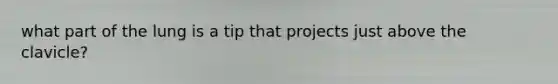 what part of the lung is a tip that projects just above the clavicle?