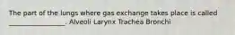 The part of the lungs where gas exchange takes place is called _________________. Alveoli Larynx Trachea Bronchi