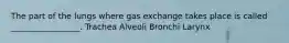 The part of the lungs where gas exchange takes place is called _________________. Trachea Alveoli Bronchi Larynx