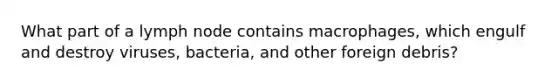 What part of a lymph node contains macrophages, which engulf and destroy viruses, bacteria, and other foreign debris?