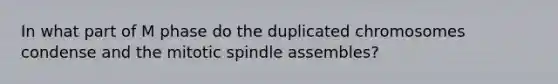 In what part of M phase do the duplicated chromosomes condense and the mitotic spindle assembles?