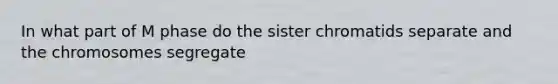 In what part of M phase do the sister chromatids separate and the chromosomes segregate