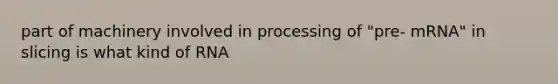 part of machinery involved in processing of "pre- mRNA" in slicing is what kind of RNA