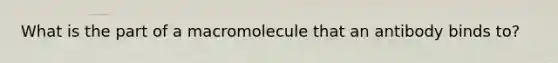 What is the part of a macromolecule that an antibody binds to?