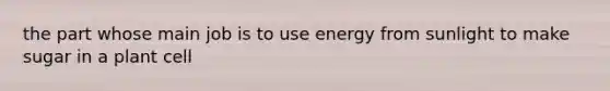 the part whose main job is to use energy from sunlight to make sugar in a plant cell