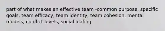 part of what makes an effective team -common purpose, specific goals, team efficacy, team identity, team cohesion, mental models, conflict levels, social loafing