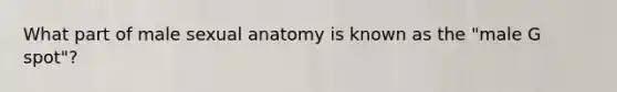 What part of male sexual anatomy is known as the "male G spot"?