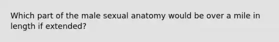 Which part of the male sexual anatomy would be over a mile in length if extended?