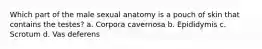 Which part of the male sexual anatomy is a pouch of skin that contains the testes? a. Corpora cavernosa b. Epididymis c. Scrotum d. Vas deferens