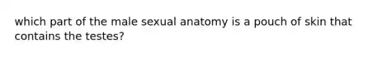 which part of the male sexual anatomy is a pouch of skin that contains the testes?