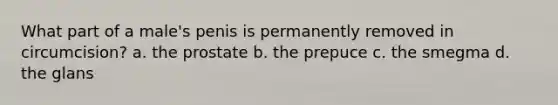 What part of a male's penis is permanently removed in circumcision? a. the prostate b. the prepuce c. the smegma d. the glans