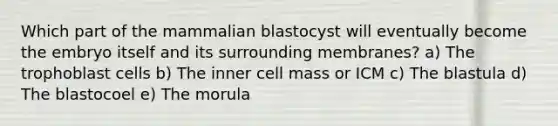 Which part of the mammalian blastocyst will eventually become the embryo itself and its surrounding membranes? a) The trophoblast cells b) The inner cell mass or ICM c) The blastula d) The blastocoel e) The morula