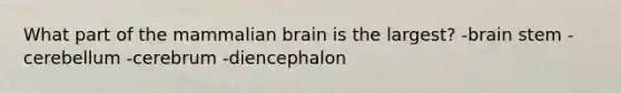 What part of the mammalian brain is the largest? -brain stem -cerebellum -cerebrum -diencephalon