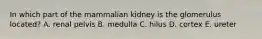 In which part of the mammalian kidney is the glomerulus located? A. renal pelvis B. medulla C. hilus D. cortex E. ureter