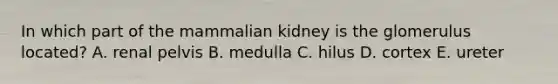 In which part of the mammalian kidney is the glomerulus located? A. renal pelvis B. medulla C. hilus D. cortex E. ureter