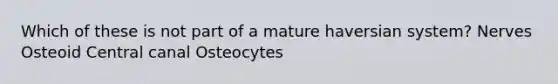 Which of these is not part of a mature haversian system? Nerves Osteoid Central canal Osteocytes