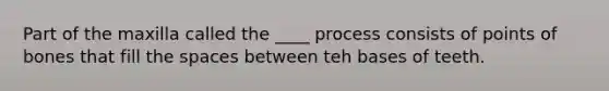 Part of the maxilla called the ____ process consists of points of bones that fill the spaces between teh bases of teeth.