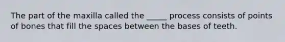 The part of the maxilla called the _____ process consists of points of bones that fill the spaces between the bases of teeth.