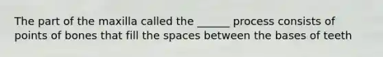 The part of the maxilla called the ______ process consists of points of bones that fill the spaces between the bases of teeth