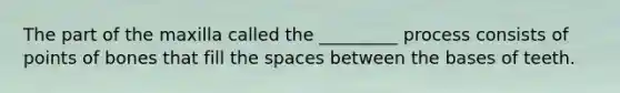 The part of the maxilla called the _________ process consists of points of bones that fill the spaces between the bases of teeth.