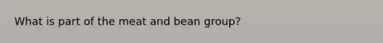 What is part of the meat and bean group?