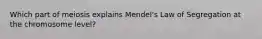 Which part of meiosis explains Mendel's Law of Segregation at the chromosome level?