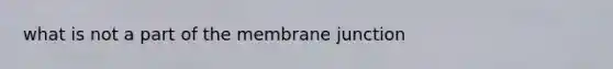 what is not a part of the membrane junction