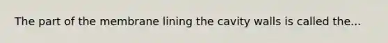 The part of the membrane lining the cavity walls is called the...