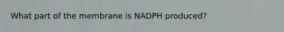 What part of the membrane is NADPH produced?