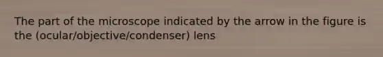 The part of the microscope indicated by the arrow in the figure is the (ocular/objective/condenser) lens