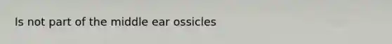 Is not part of the middle ear ossicles