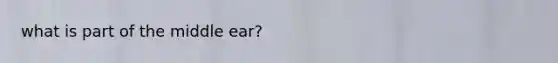 what is part of the middle ear?