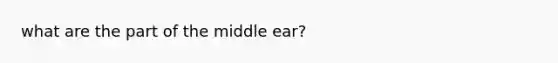 what are the part of the middle ear?