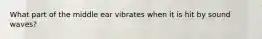 What part of the middle ear vibrates when it is hit by sound waves?