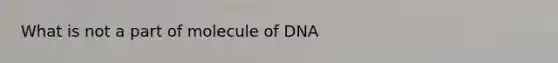 What is not a part of molecule of DNA