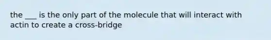 the ___ is the only part of the molecule that will interact with actin to create a cross-bridge