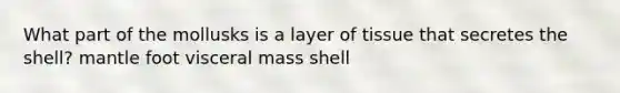 What part of the mollusks is a layer of tissue that secretes the shell? mantle foot visceral mass shell