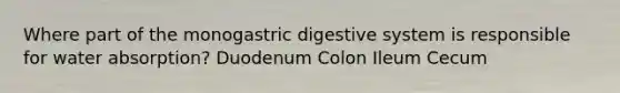 Where part of the monogastric digestive system is responsible for water absorption? Duodenum Colon Ileum Cecum