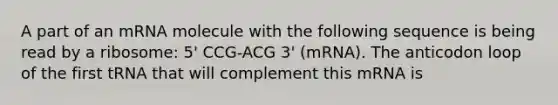 A part of an mRNA molecule with the following sequence is being read by a ribosome: 5' CCG-ACG 3' (mRNA). The anticodon loop of the first tRNA that will complement this mRNA is