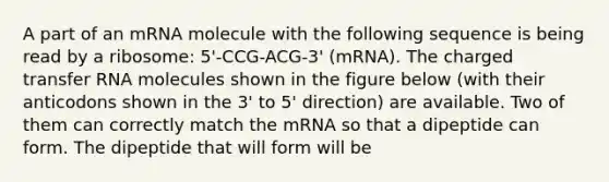 A part of an mRNA molecule with the following sequence is being read by a ribosome: 5'-CCG-ACG-3' (mRNA). The charged <a href='https://www.questionai.com/knowledge/kYREgpZMtc-transfer-rna' class='anchor-knowledge'>transfer rna</a> molecules shown in the figure below (with their anticodons shown in the 3' to 5' direction) are available. Two of them can correctly match the mRNA so that a dipeptide can form. The dipeptide that will form will be