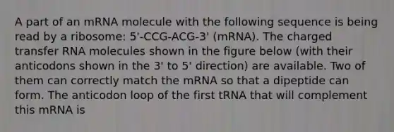 A part of an mRNA molecule with the following sequence is being read by a ribosome: 5'-CCG-ACG-3' (mRNA). The charged <a href='https://www.questionai.com/knowledge/kYREgpZMtc-transfer-rna' class='anchor-knowledge'>transfer rna</a> molecules shown in the figure below (with their anticodons shown in the 3' to 5' direction) are available. Two of them can correctly match the mRNA so that a dipeptide can form. The anticodon loop of the first tRNA that will complement this mRNA is