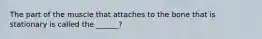 The part of the muscle that attaches to the bone that is stationary is called the ______?