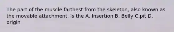 The part of the muscle farthest from the skeleton, also known as the movable attachment, is the A. Insertion B. Belly C.pit D. origin