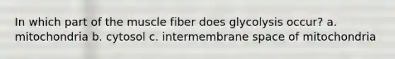 In which part of the muscle fiber does glycolysis occur? a. mitochondria b. cytosol c. intermembrane space of mitochondria