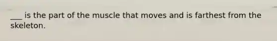 ___ is the part of the muscle that moves and is farthest from the skeleton.