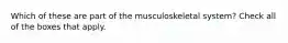 Which of these are part of the musculoskeletal system? Check all of the boxes that apply.