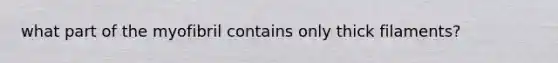 what part of the myofibril contains only thick filaments?